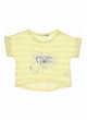 Cichlid Kız Çocuk İkili Tshirt Takım 038-8012-001