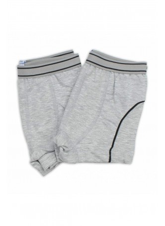 Gümüş İç Giyim 2 li Erkek Çocuk Boxer 040-4042-011
