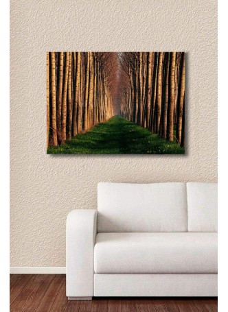 Özel Dekoratif Ağaçlı Yol Kanvas Tablo