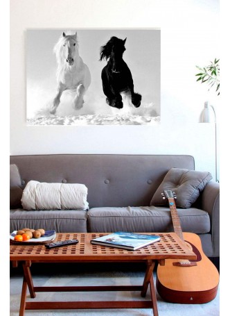 Siyah Ve Beyaz At Kanvas Tablo
