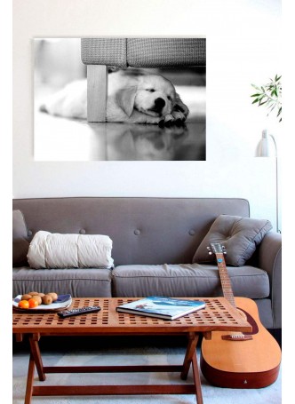 Yavru Köpek Dekoratif Kanvas Tablo