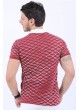 Beyaz Çizgi Desen Polo Yaka Bordo T-Shirt