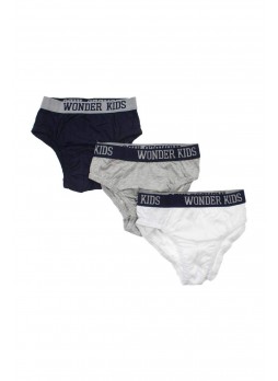 Wonder Kids Erkek Çocuk 3 lü Slip 010-993-012